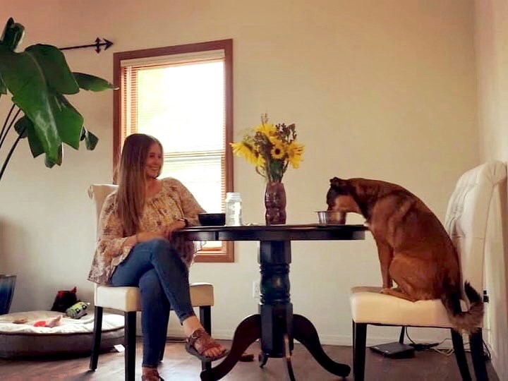Dog Mom: Family pets join in to celebrate Idaho Family Dinner Night