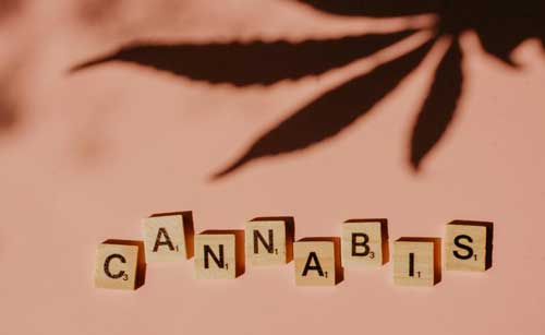 Marijuana